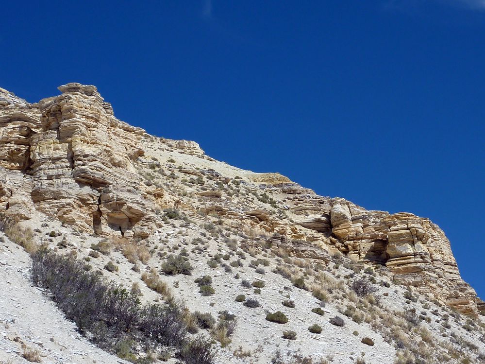 Fosile butte (27).JPG